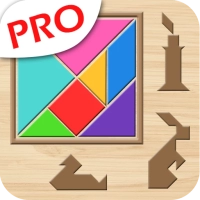 Tangram puzzle : polygram game