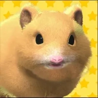 Play-with-your-hamster-Ios-Download